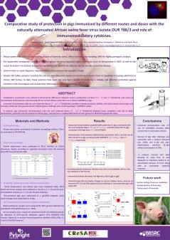 EpizoneWinningPoster10thAM.jpg