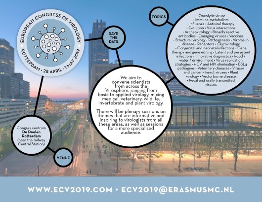 ECV2019 First announcement